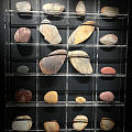 金沙博物馆展示