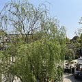 今天是游客照