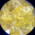 菌丝包裹体水晶显微图