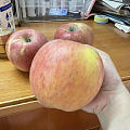 今天平台买的阿克苏苹果 真的巨大 2.2斤三
