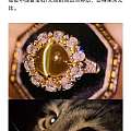 金色蜜糖——猫眼