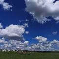 草原也没有想象的凉快，但是蓝天白云真的很美！太仆寺旗