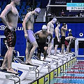 亚运 游泳比赛