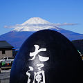 平和鸟居、大涌谷、修善寺、大室山、城奇海岸和无处不在的富士山