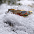 故宫初雪，景山远眺🏮