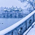 忽见扬州雪,才知是广陵。