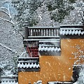 忽见扬州雪,才知是广陵。