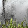 下雨雨雨雨雨雨雨雨雨雨雨雨雨雨……