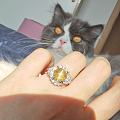 每带一颗猫眼戒指就有一只猫猫失去眼睛？