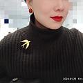 飞燕胸针+红玛瑙耳钉