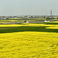 生活不能没有音乐和美景