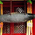 潭柘寺石鱼