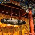 潭柘寺石鱼