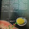 科学世界之减肥篇