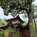 杭州永福寺～一步一景的福地