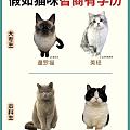 来看看你家毛孩子学历😸