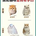 来看看你家毛孩子学历😸