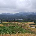 常在河边走，这一趟消失了上千克[体重]