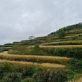 常在河边走，这一趟消失了上千克[体重]