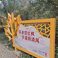 妹子群里约人去看南黄古道红叶。我这井蛙唧唧歪歪，说山上红红黄黄了，恐怕还得狠...