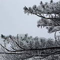 黄山下雪了，好想去