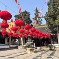 《题破山寺后禅院》