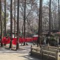 《题破山寺后禅院》