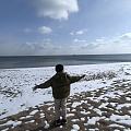 阳光 大海 飘雪