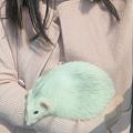 抱我胖宝晒个太阳～