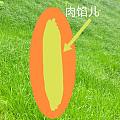 开心一刻：黑暗料理来了——香菜肉饼