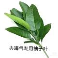 不敢睁开眼希望是我的幻觉