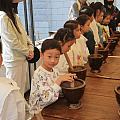 上春山，挖春笋，采春茶🌱