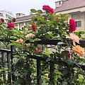 跟风秀花花啦