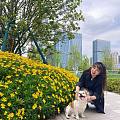 近日份穿搭
