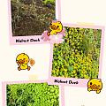 #五一劳动节#