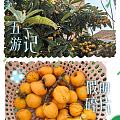 #五一劳动节#