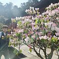 成功登顶峨眉山