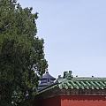 假期闲逛～