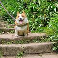 5.1最后一天出去玩