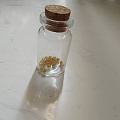 开始集金豆豆