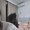 勤勤恳恳猫师傅