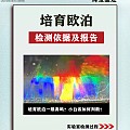 怎么看待培育欧泊？它与天然欧泊有什么区别？