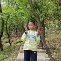 又又又来爬山啦～