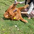 ee们周末愉快～～