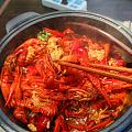 快来吃我烧的虾🦐