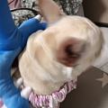 讨伐棒！