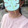 天热，上珍珠