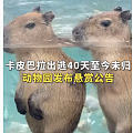 这个新闻怎么这么好笑