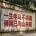 请教一个问题，跑步应该是前脚掌先着地还是全脚掌着地，才有助于保护膝盖？