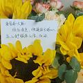往后余生，好好养自己。